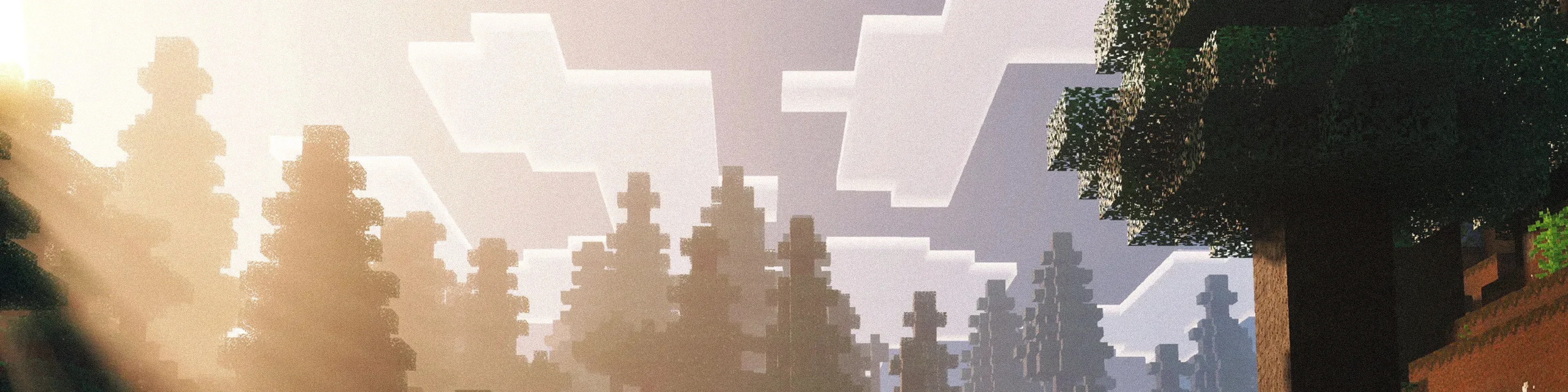 Dynamic Details Guide